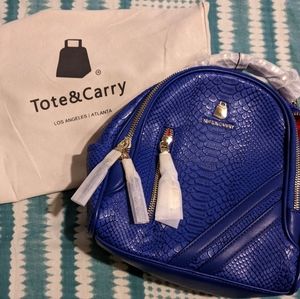 Tote and Carry Mini Backpack (Brand New)